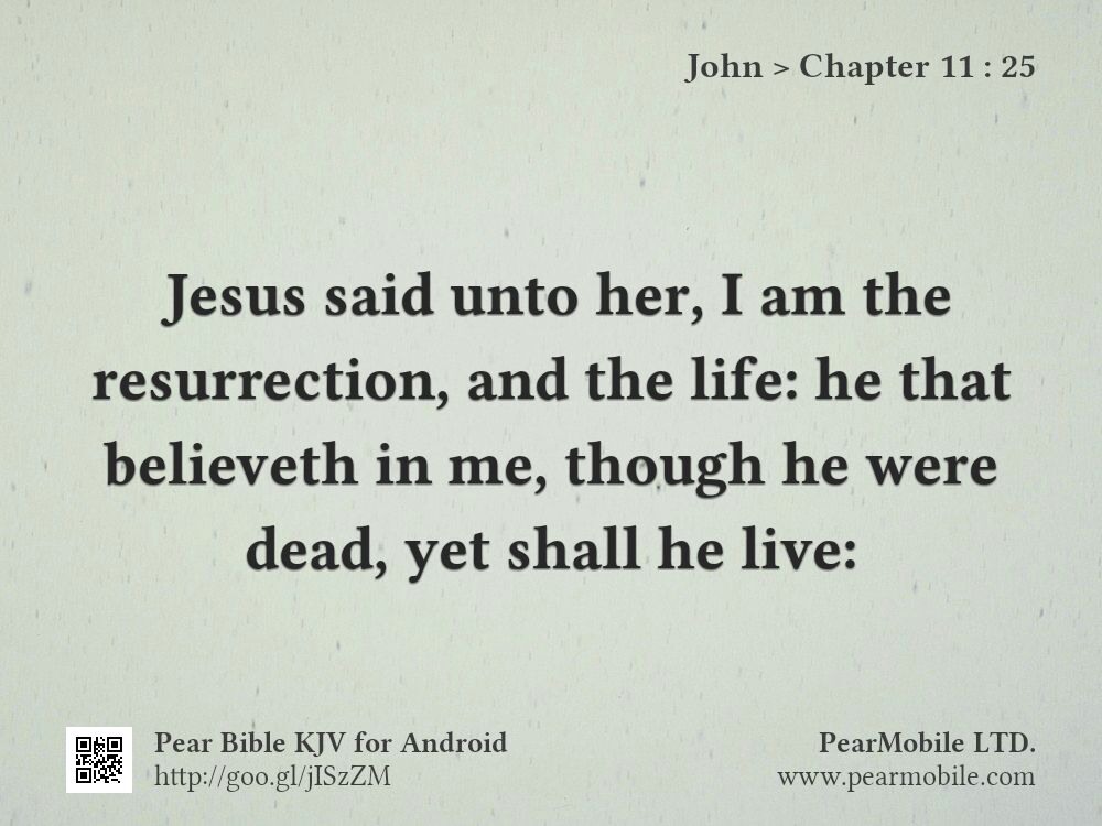 John, Chapter 11:25